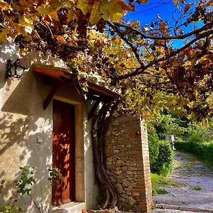 All'acqua Santa, Immersi Nella Natura Semproniano